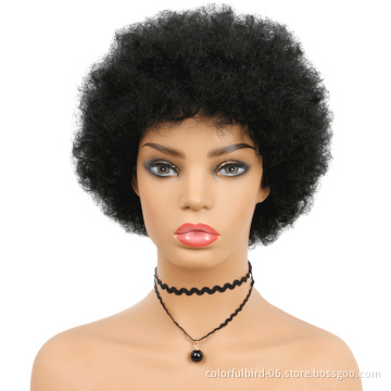 Brazilian Perruque Crepus Court Afro Kinky Full Lace Wig Bouncy Fluffy Curly Human Hair Wig Black Short Kinky Curly Afro Wig